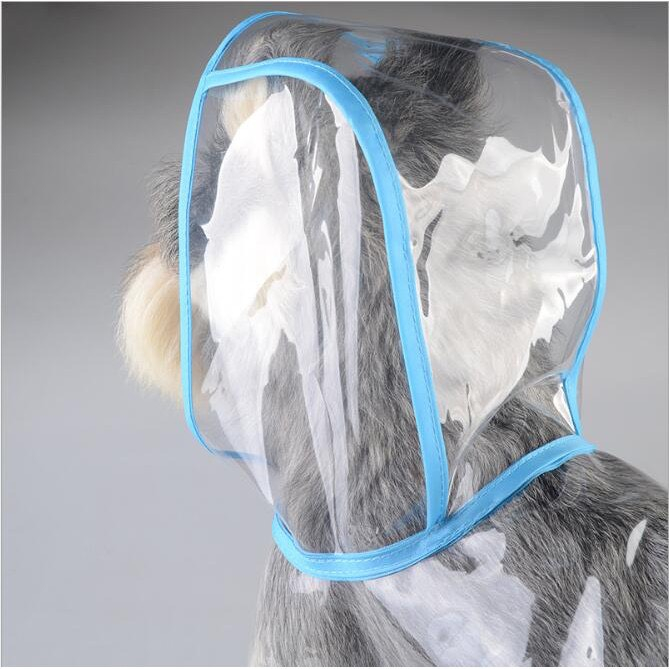 Áo mưa dành cho thú cưng siêu xinh