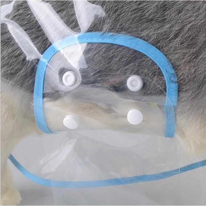 Áo mưa dành cho thú cưng siêu xinh