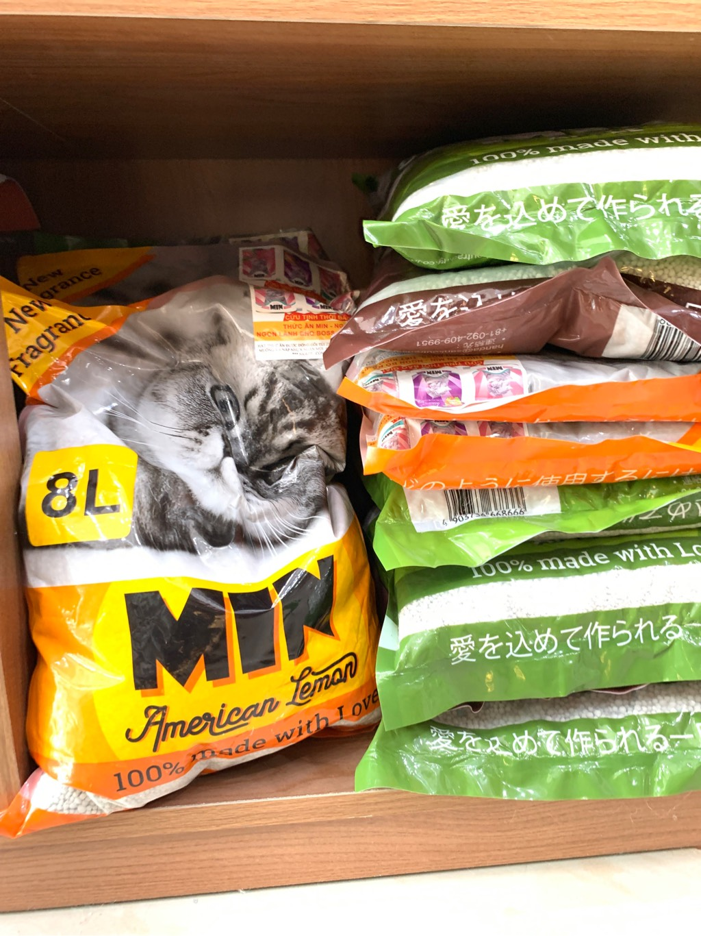 CÁT MIN (8L) Cát Vệ Sinh Cho Mèo Làm Từ Đất Sét - Thấm Hút Tốt, Vón Cục Tốt, Mùi Thơm, Ít Bụi