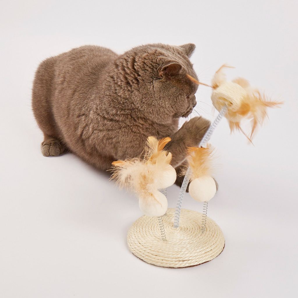 FOFOS Bàn Cào Móng Mèo Dây Thừng Có Lông Vũ