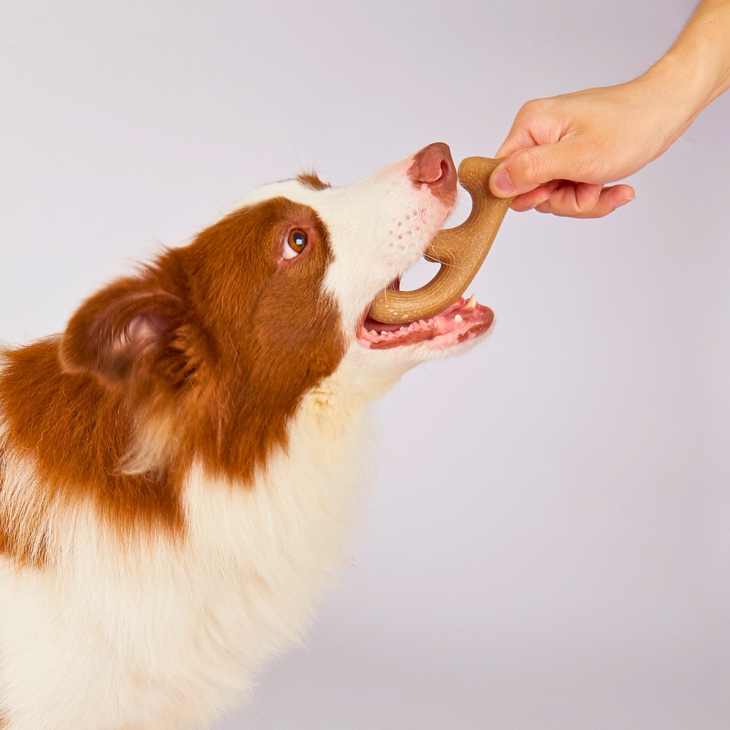 FOFOS Đồ Chơi Sừng Hươu Cao Su Cho Chó