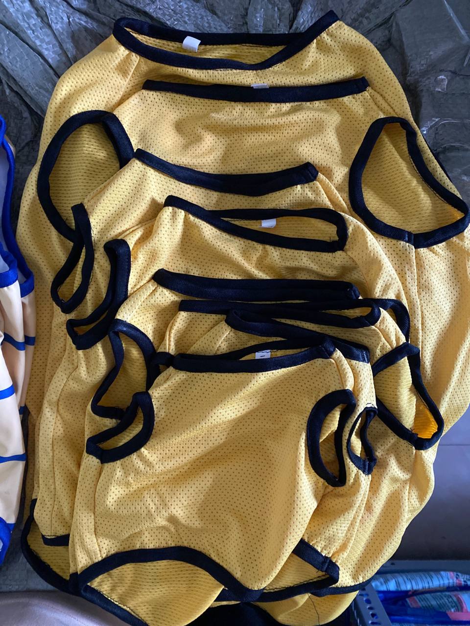 Áo cho thú cưng, áo họa tiết sọc ngang