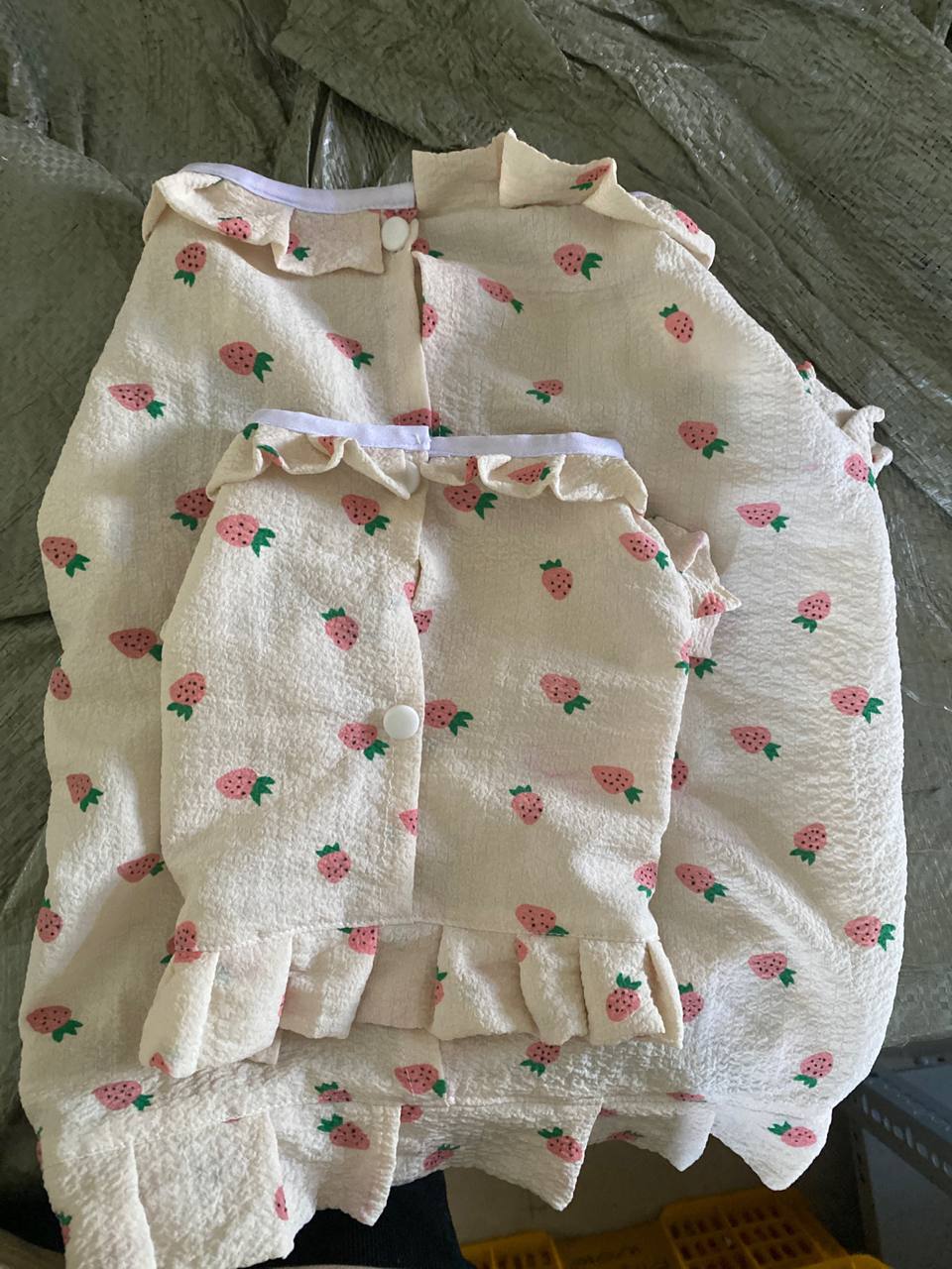 Áo đầm cho thú cưng