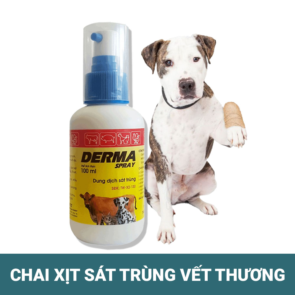 DERMA Spray - Thuốc Xịt Sát Trùng Vết Thương