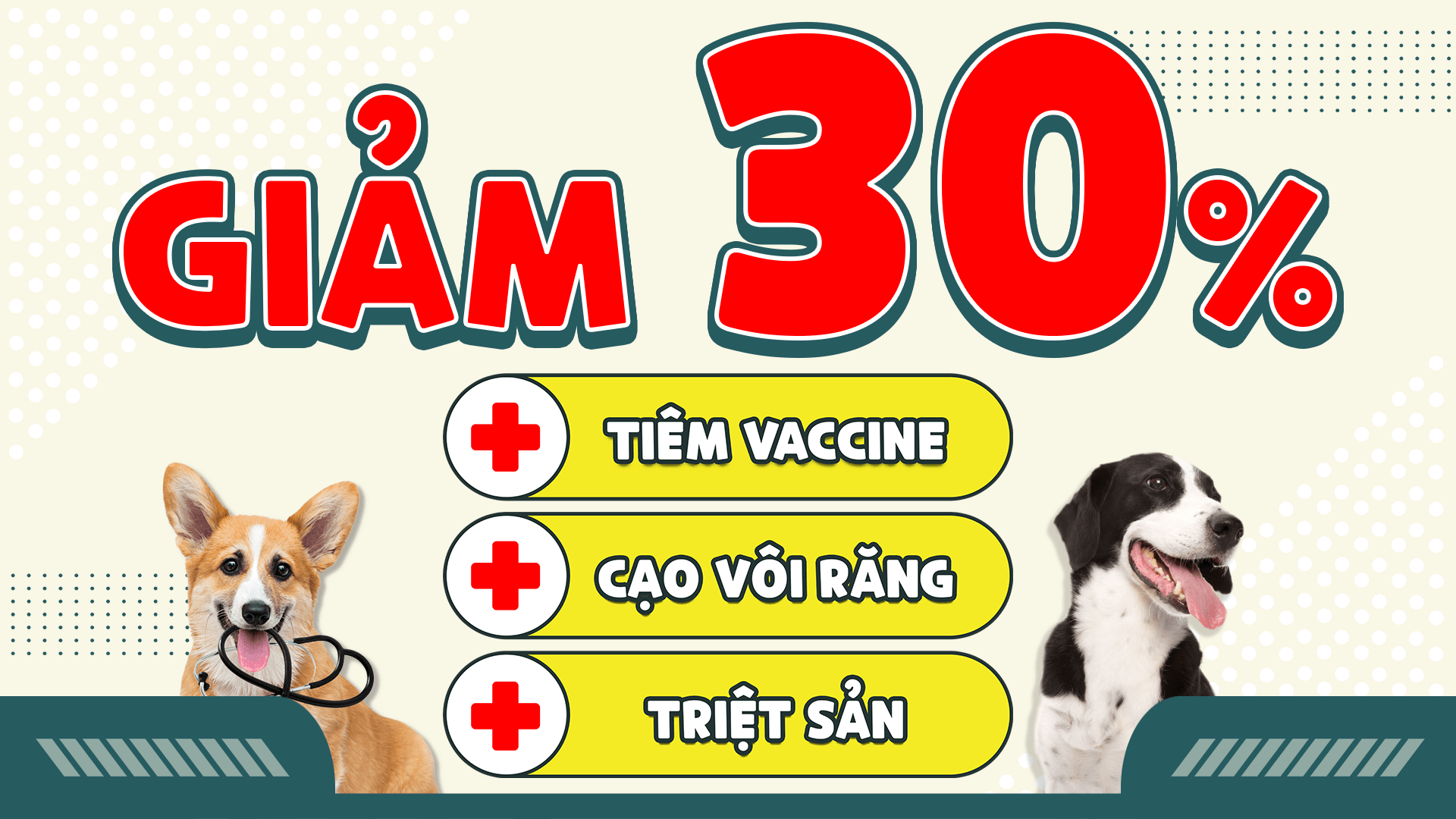 giảm 30% thú y