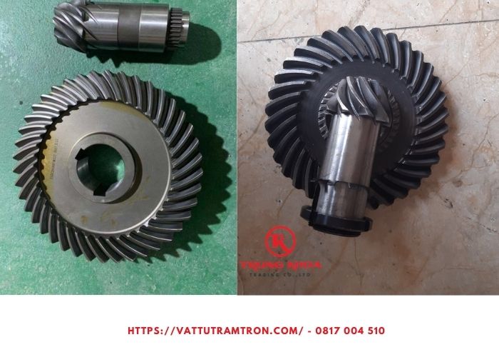 Bánh răng cùi thơm 2