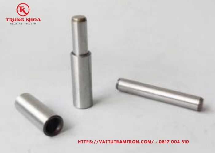 Chốt pin hộp giảm tốc Cyclo