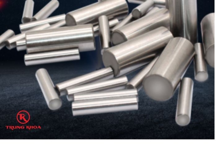 Chốt pin hộp giảm tốc Cyclo