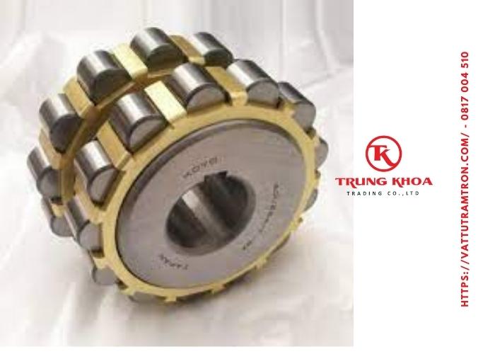 Tay áo- Cụm vòng bi lệnh tâm hộp số Cyclo 9