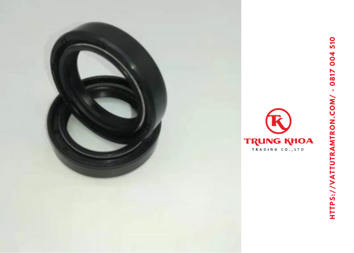 Lò xo đôi DC48*72*12 7