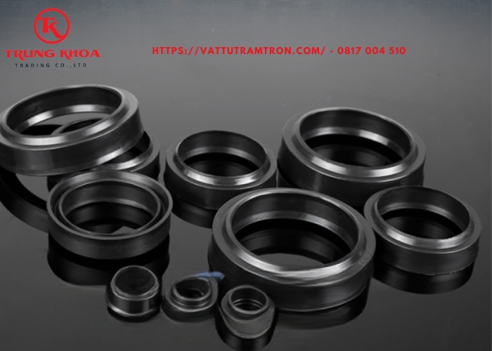 Phớt chống bụi khí nén ZHM 9