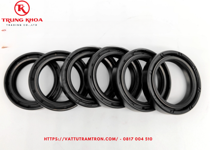 Phốt dầu lò xo hai mặt DC 100*125*12 4