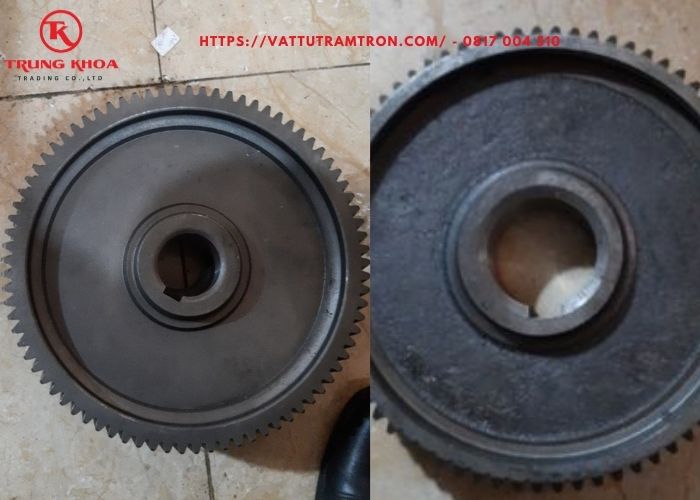 Bánh răng hộp giảm tốc vít tải xi măng 2