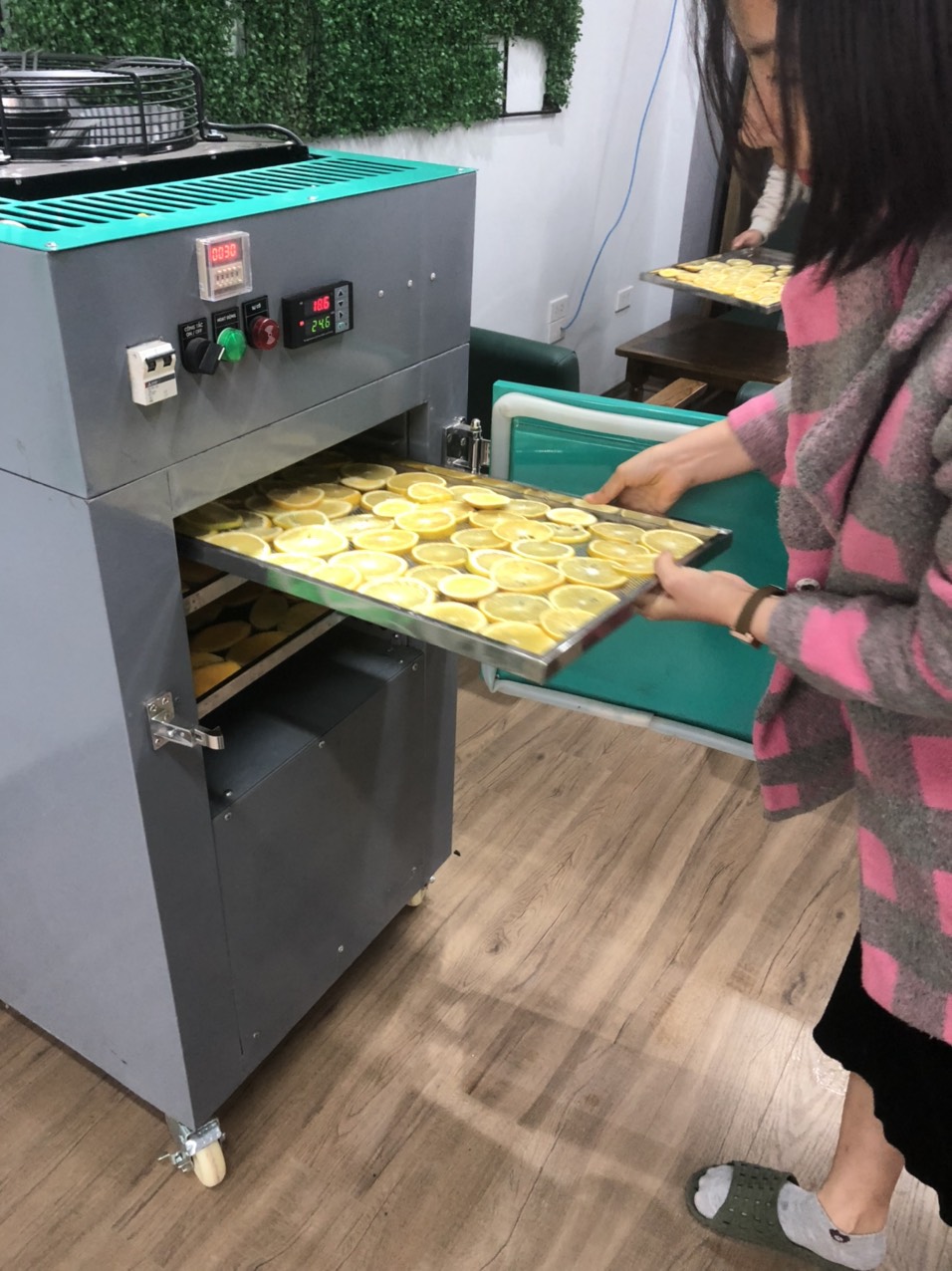 Những câu hỏi thường gặp khi chọn mua máy sấy hoa quả