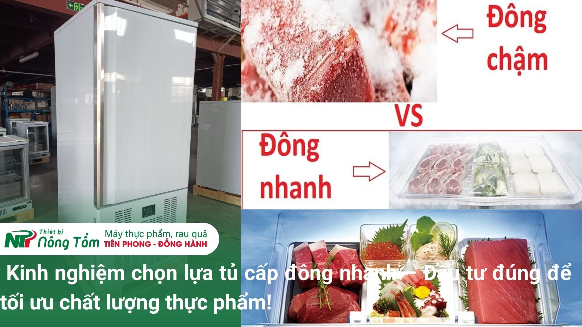 Kinh nghiệm chọn lựa tủ cấp đông nhanh – Đầu tư đúng để tối ưu chất lượng thực phẩm