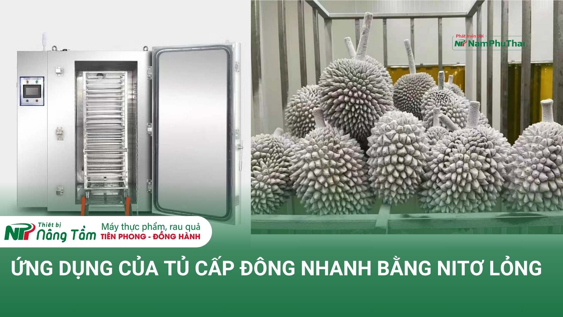 ỨNG DỤNG CỦA TỦ CẤP ĐÔNG NHANH BẰNG NITƠ LỎNG