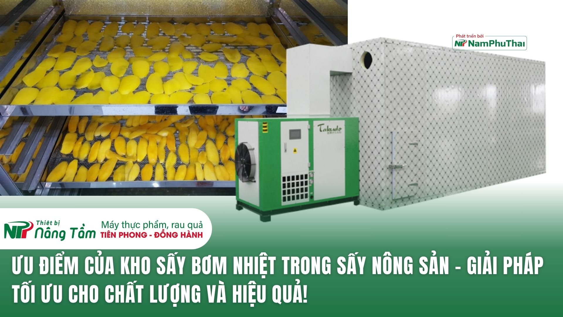 Ưu điểm của kho sấy bơm nhiệt trong sấy nông sản – Giải pháp tối ưu cho chất lượng và hiệu quả!