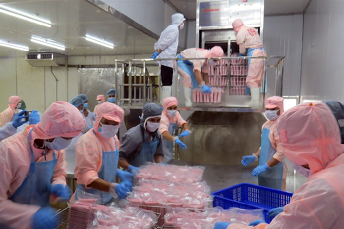 Công Nghệ Cấp Đông Cá Ngừ Siêu Tốc.