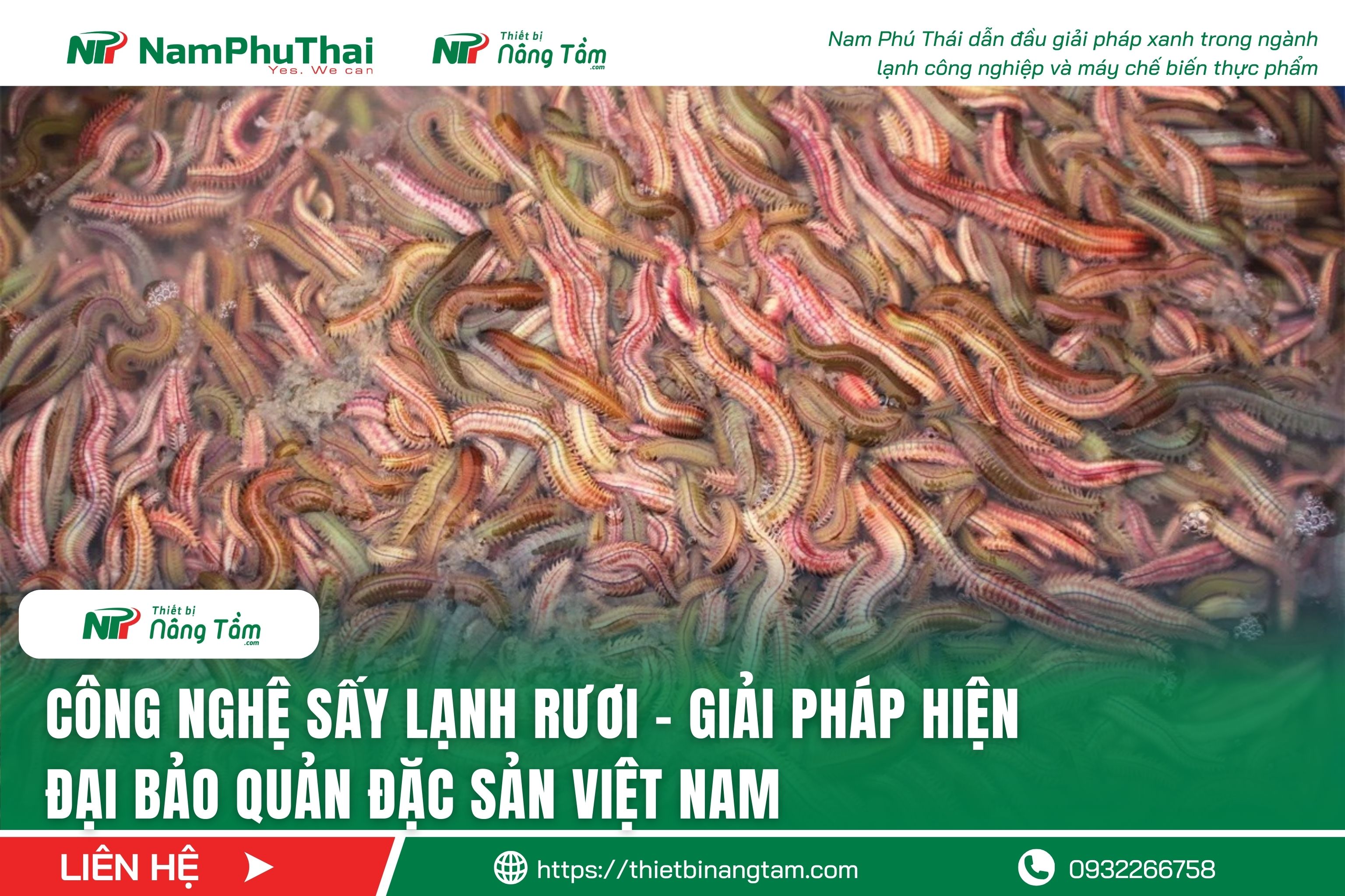 Công nghệ sấy lạnh rươi – Giải pháp hiện đại bảo quản đặc sản Việt Nam