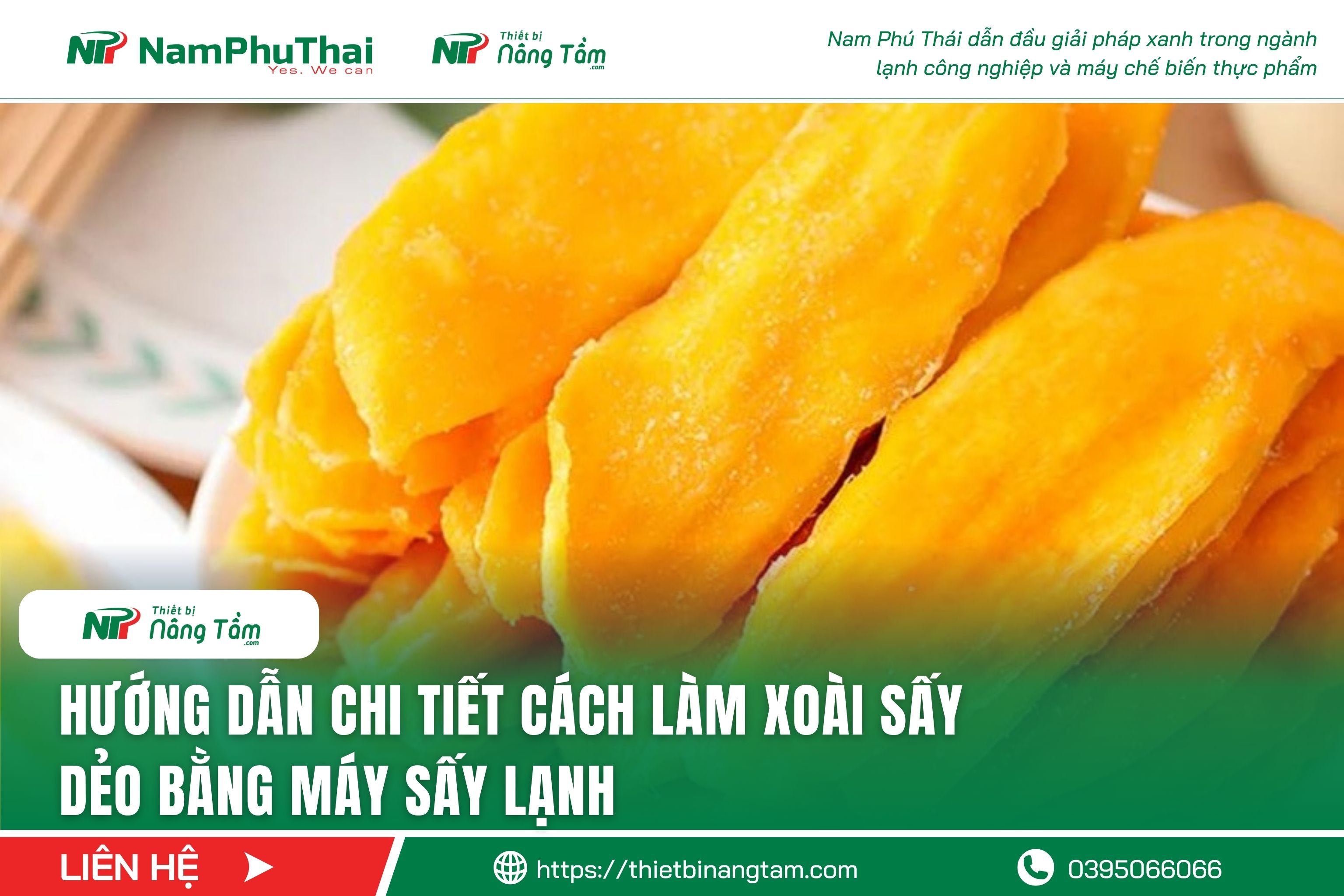 Hướng dẫn chi tiết cách làm xoài sấy dẻo bằng máy sấy lạnh