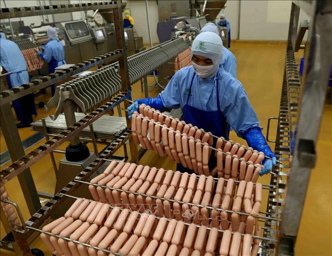 MỞ XƯỞNG SẢN XUẤT XÚC XÍCH