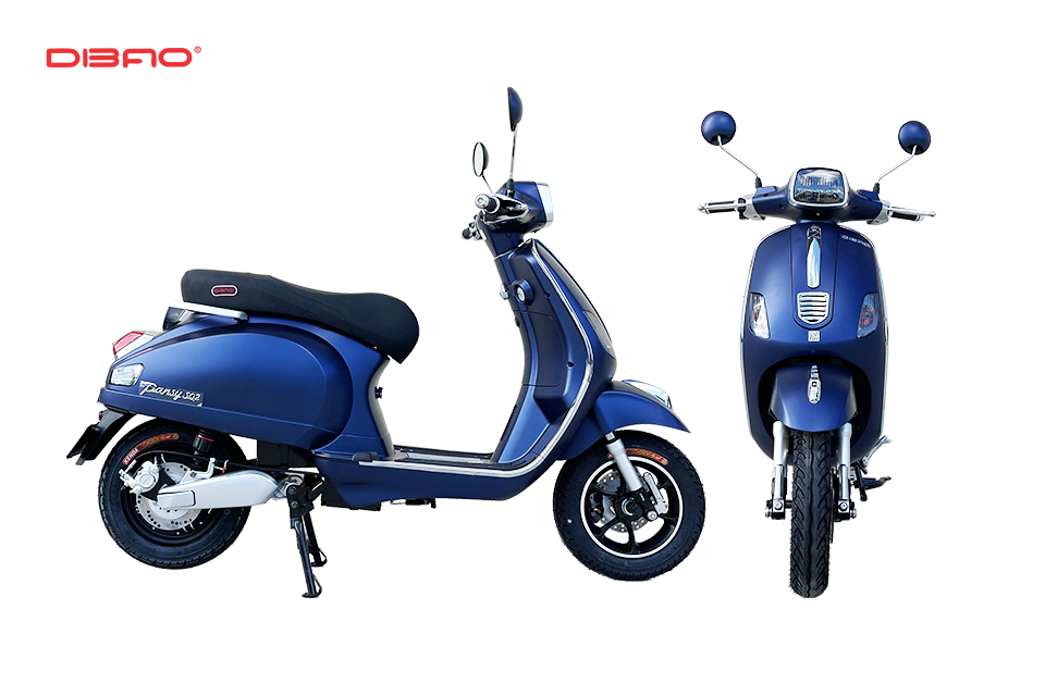 XE MÁY ĐIỆN DIBAO PANSY SQ2
