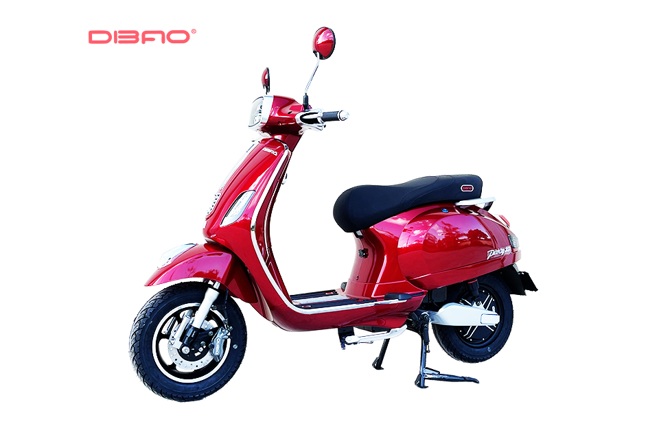 XE MÁY ĐIỆN DIBAO PANSY SQ2