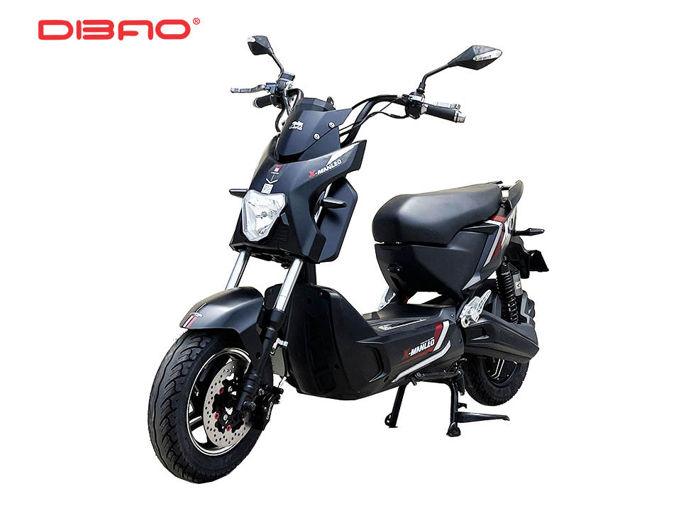 XE MÁY ĐIỆN DIBAO XMAN-LEO