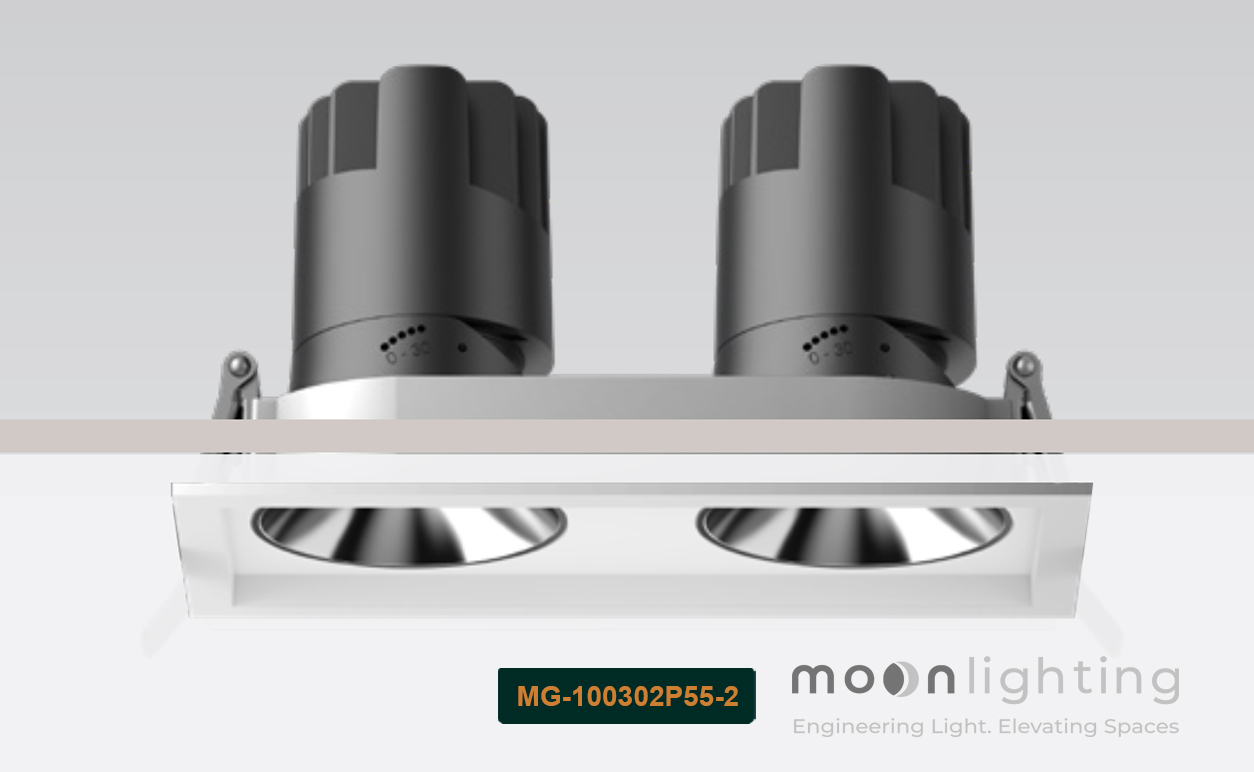 Phối cảnh sử dụng Đèn Spotlight vuông đôi MG-100302P55-2 cho phòng khách biệt thự Luxury