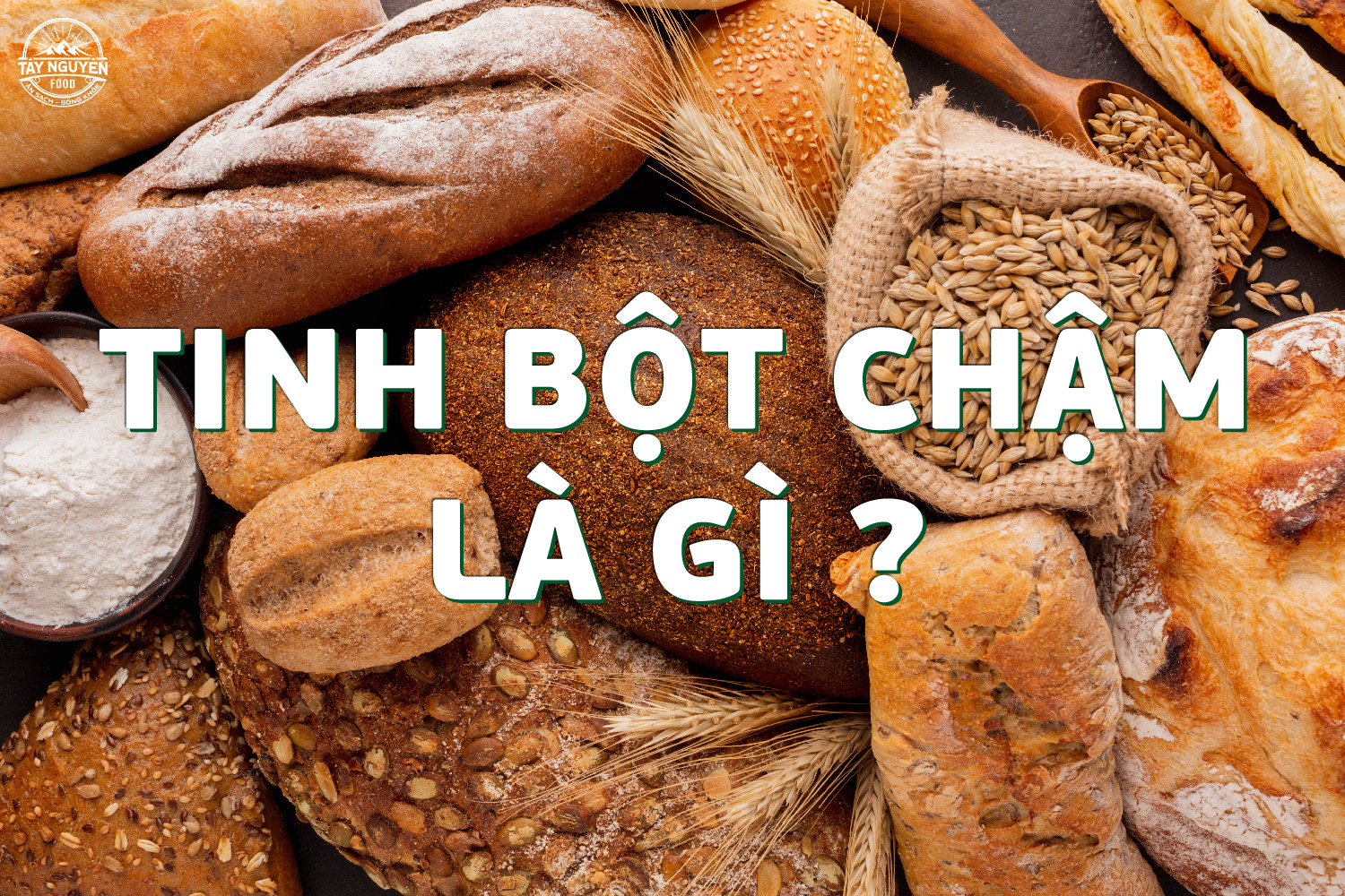 Tinh bột chậm là gì? Tại sao nên ưu tiên sử dụng tinh bôt chậm?