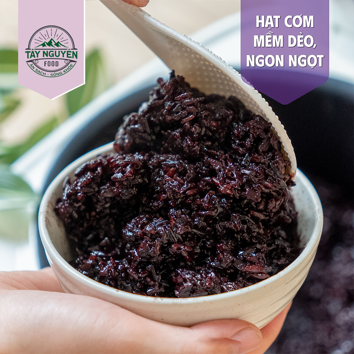 Gạo Lứt Tím Than Sóc Trăng