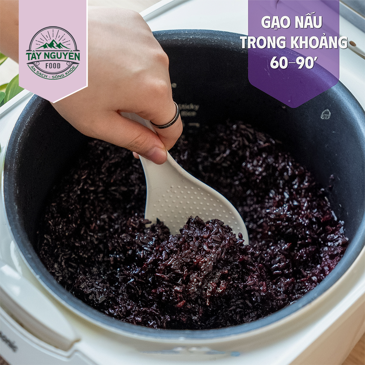 Gạo Lứt Tím Than Sóc Trăng