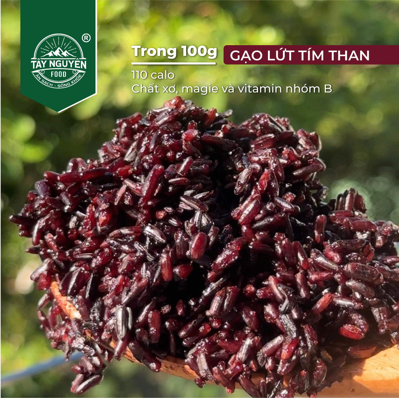 Gạo Lứt Tím Than Sóc Trăng