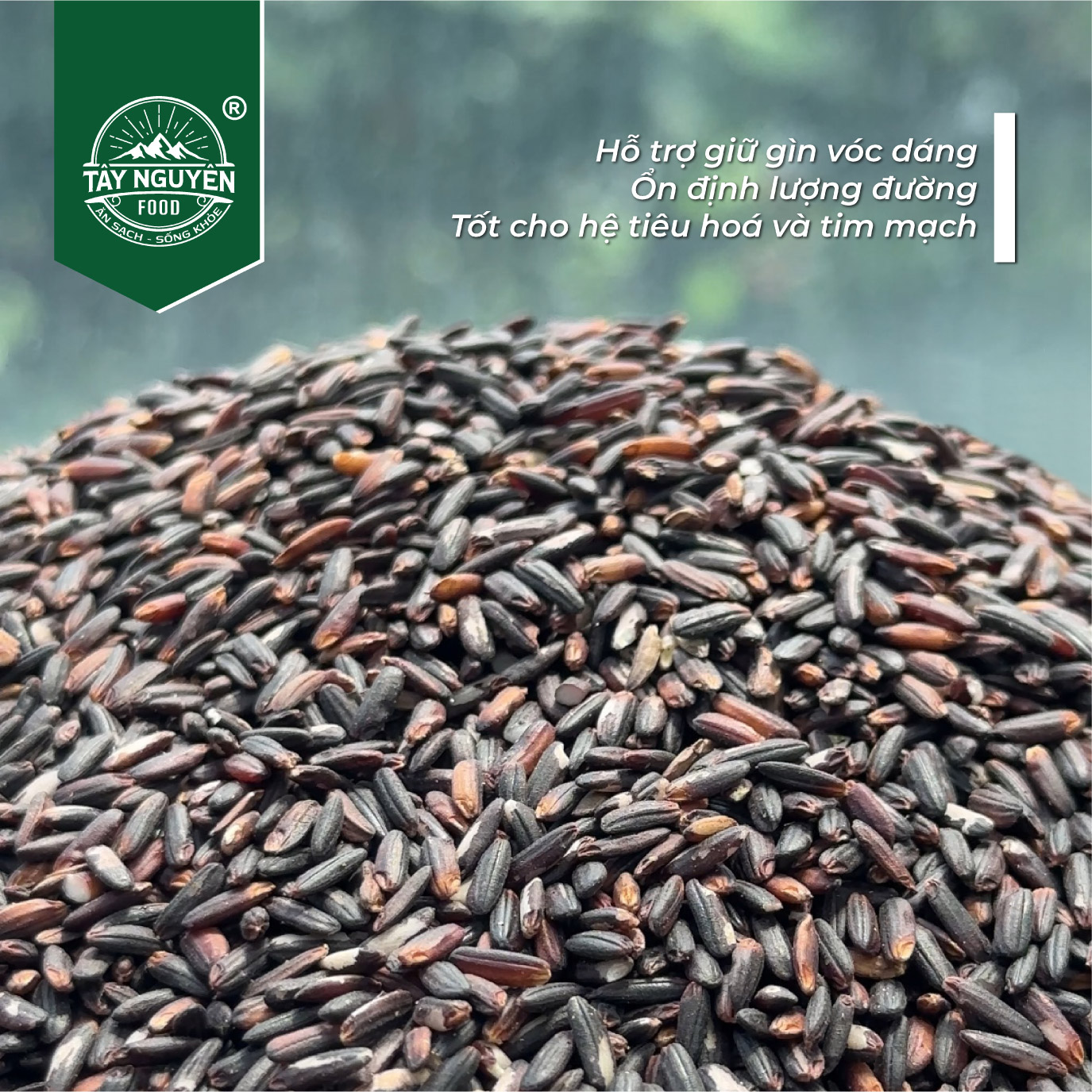 Gạo Lứt Tím Than Sóc Trăng