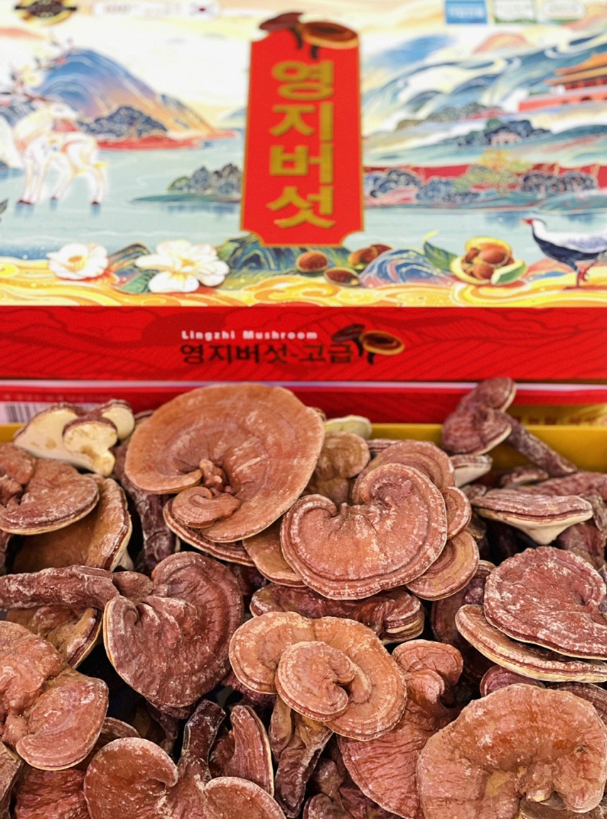 NẤM LINH CHI TIẾN VUA