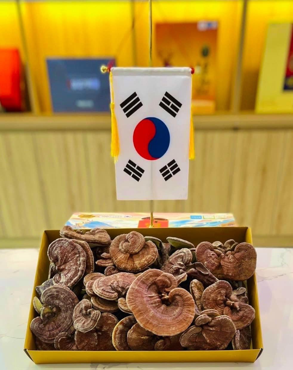 NẤM LINH CHI TIẾN VUA