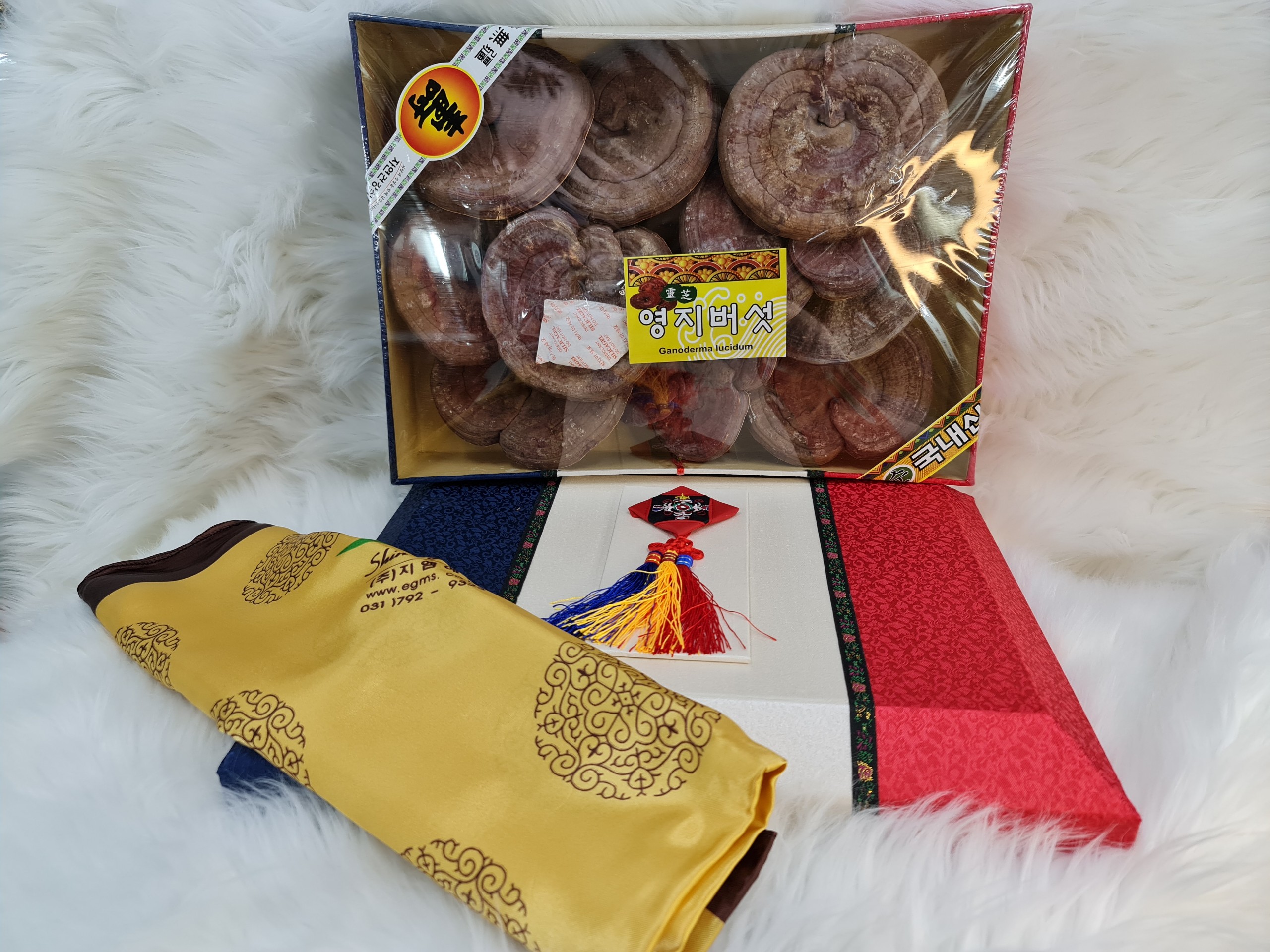 NẤM LINH CHI HỘP GẤM