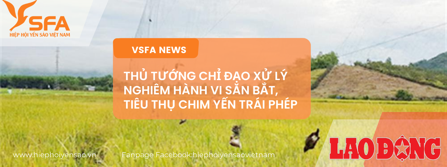 THỦ TƯỚNG CHỈ ĐẠO XỬ LÝ NGHIÊM HÀNH VI SĂN BẮT, TIÊU THỤ CHIM YẾN TRÁI PHÉP