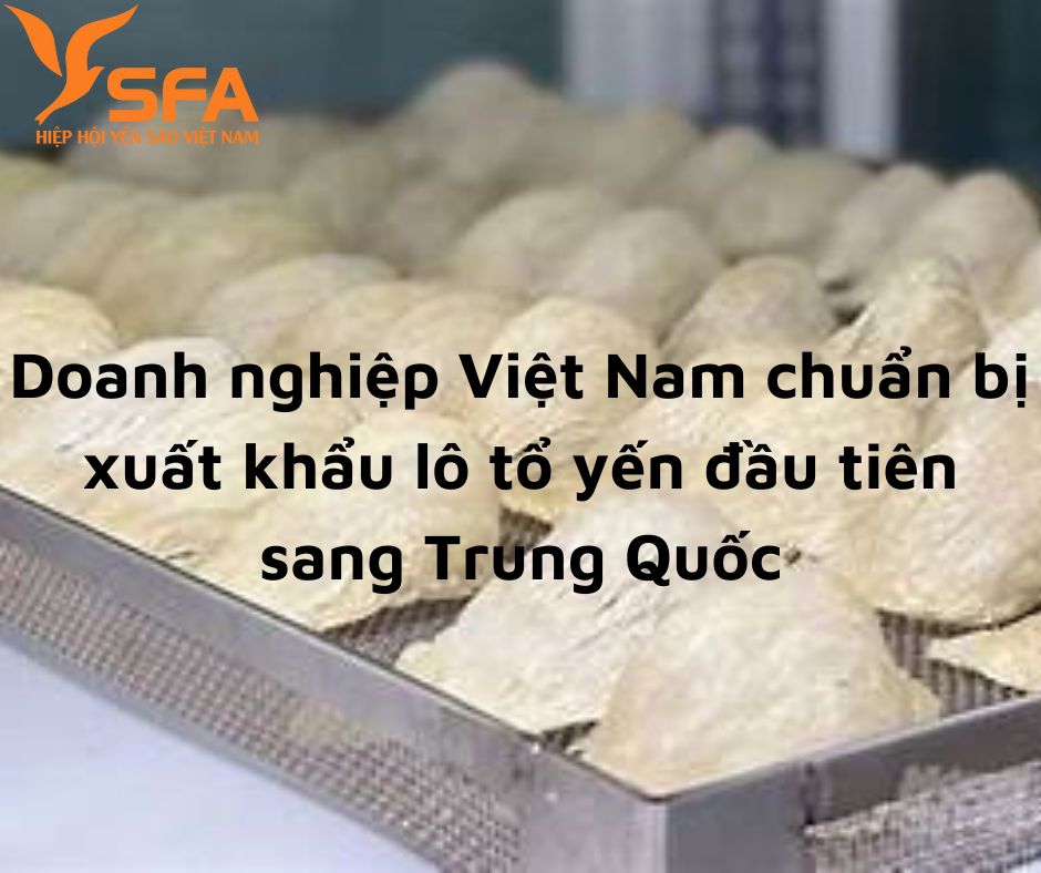 Doanh nghiệp Việt Nam chuẩn bị xuất khẩu lô tổ yến đầu tiên sang Trung Quốc