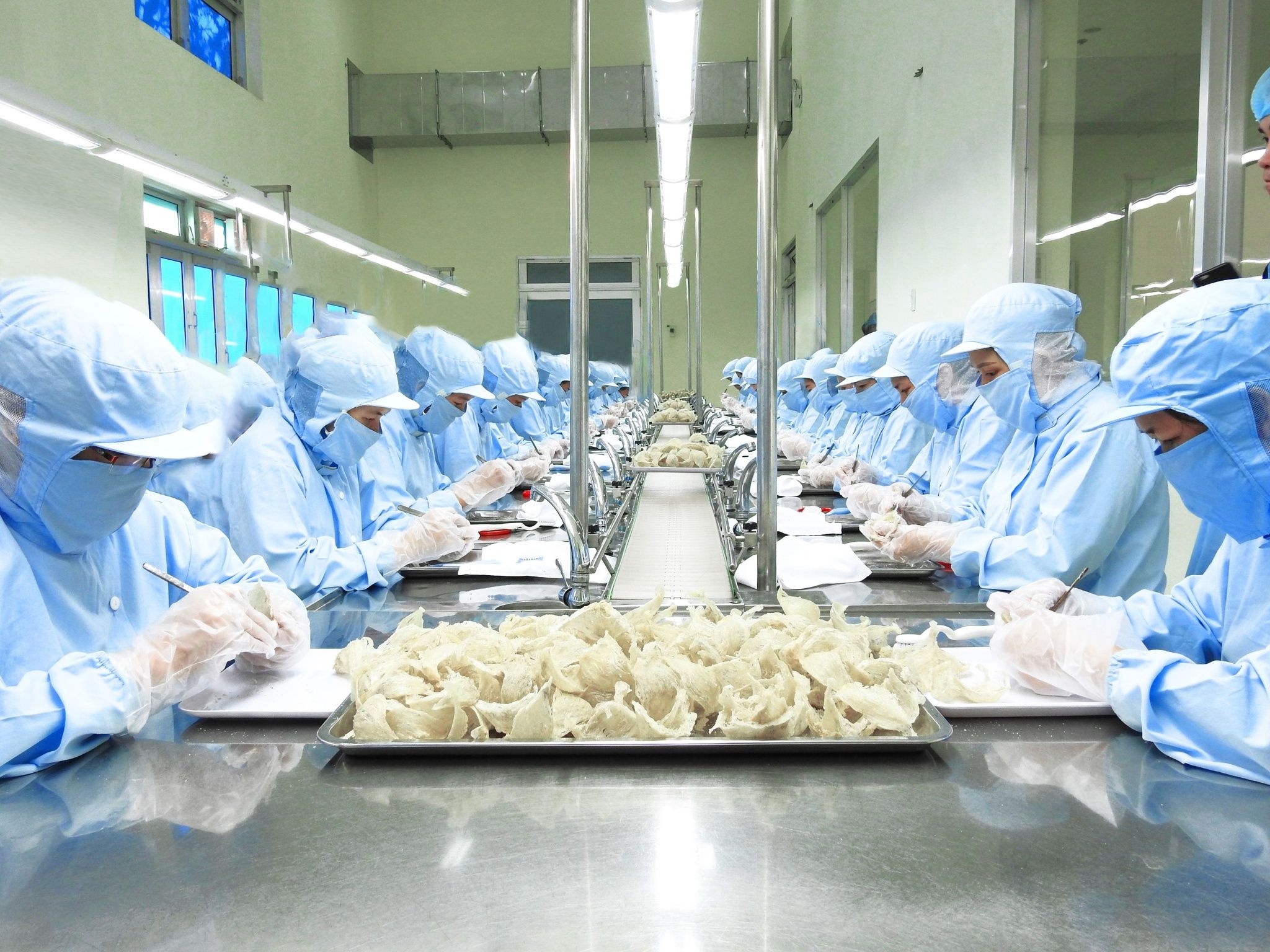 Trung Quốc chính thức nhập khẩu khoai lang, tổ yến của Việt Nam