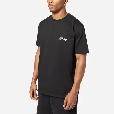 Áo thun STUSSY YOUNG MODERENS PIG DYED TEE- Streetwears SG - STU-11
