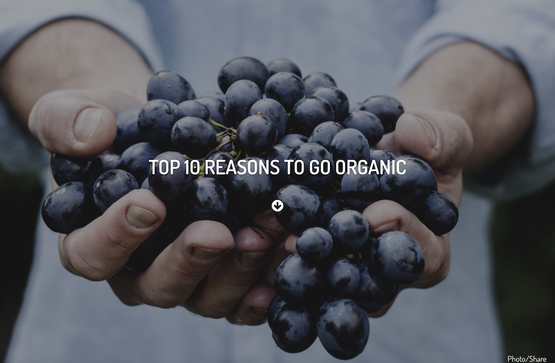 Top 10 lí do lựa chọn Organic
