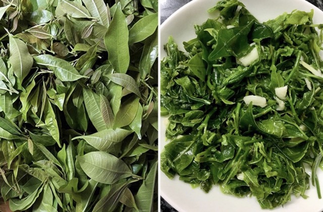 Rau Lá Mít Rừng – “Thảo Dược Xanh” Thanh Lọc Cơ Thể, Bồi Bổ Sức Khỏe Mỗi Ngày