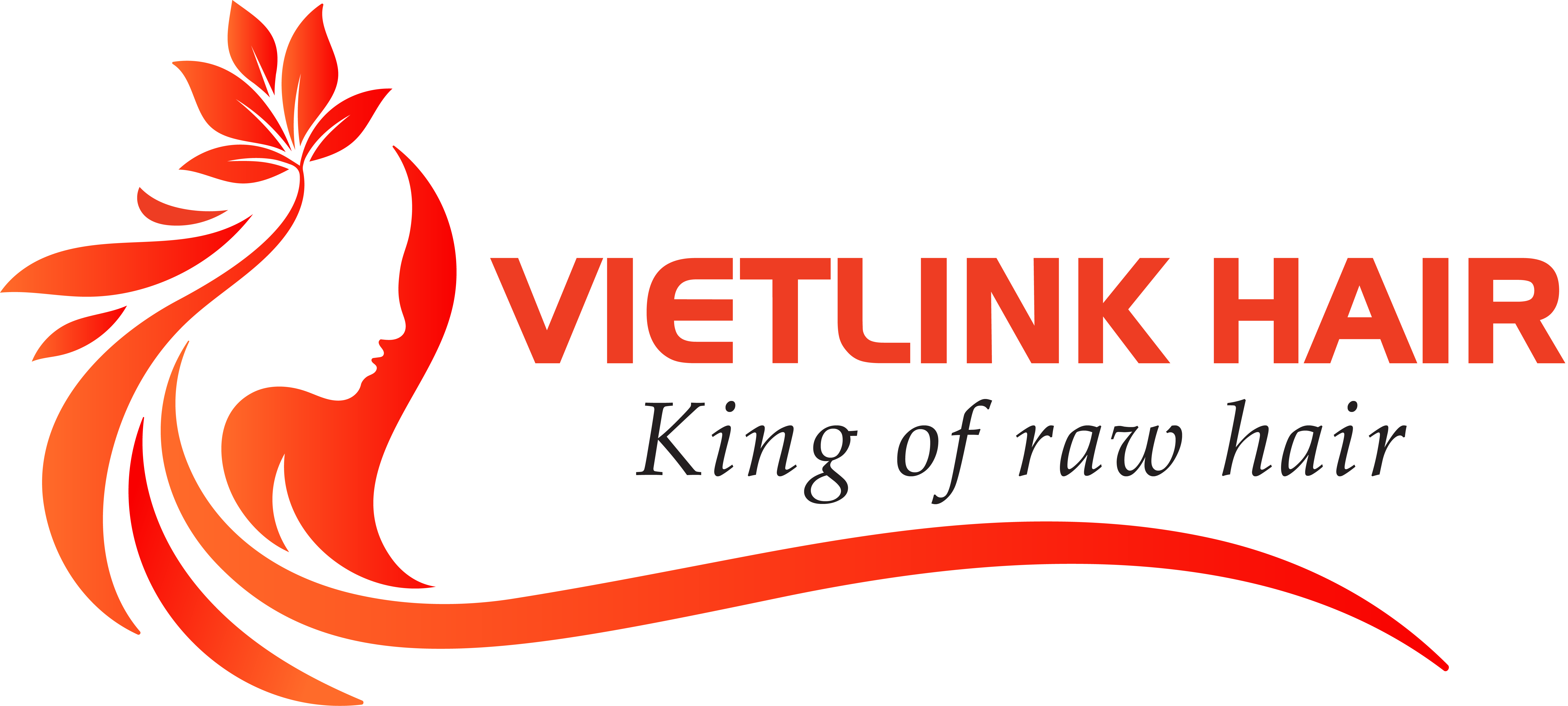 logo VIETLINK HAIR