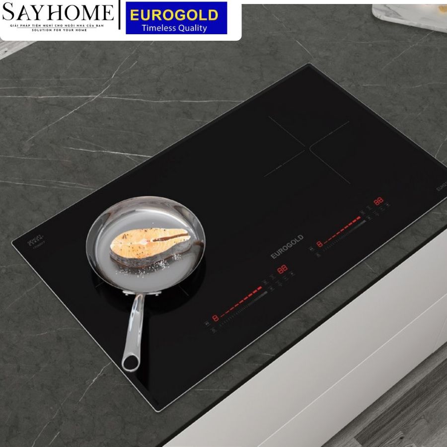 bếp từ đôi EUROGOLD EUH2121 tại thành phố Hồ Chí Minh
