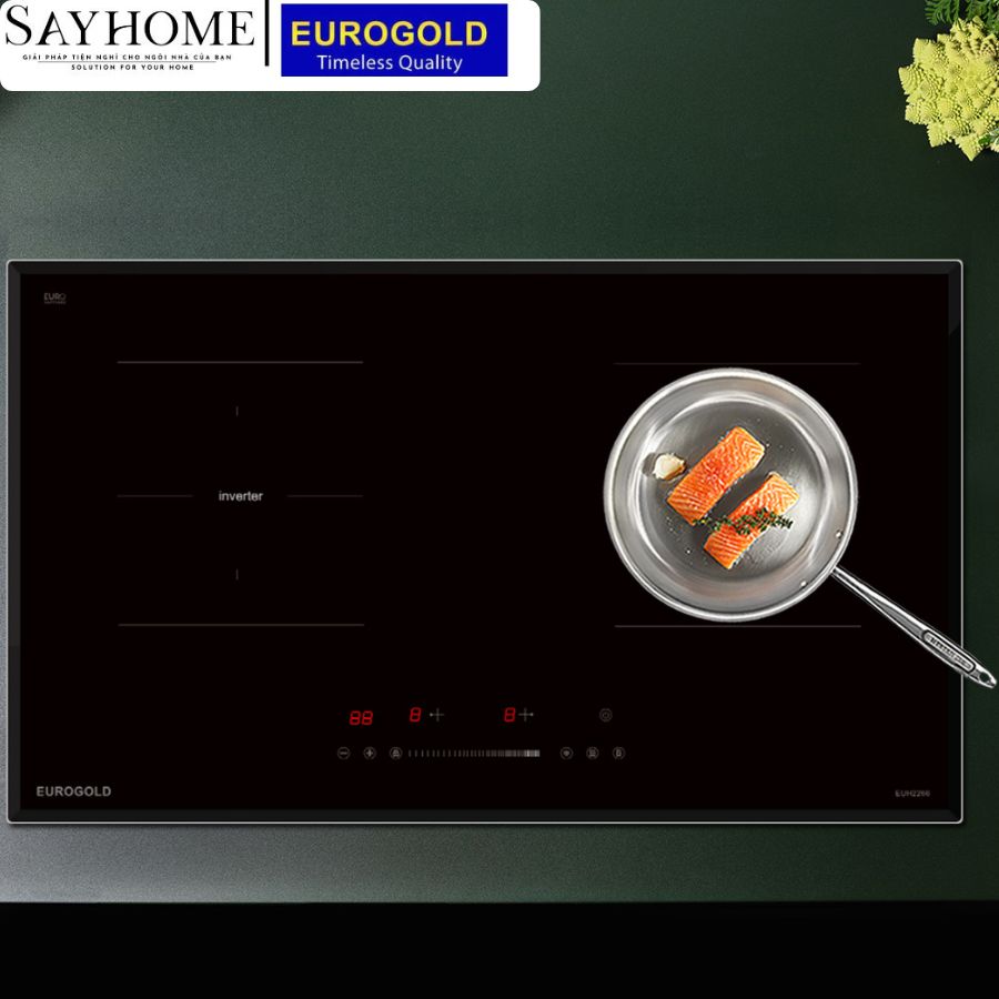 BẾP TỪ ĐÔI EUROGOLD EUH2266 tại thành phố Hồ Chí Minh