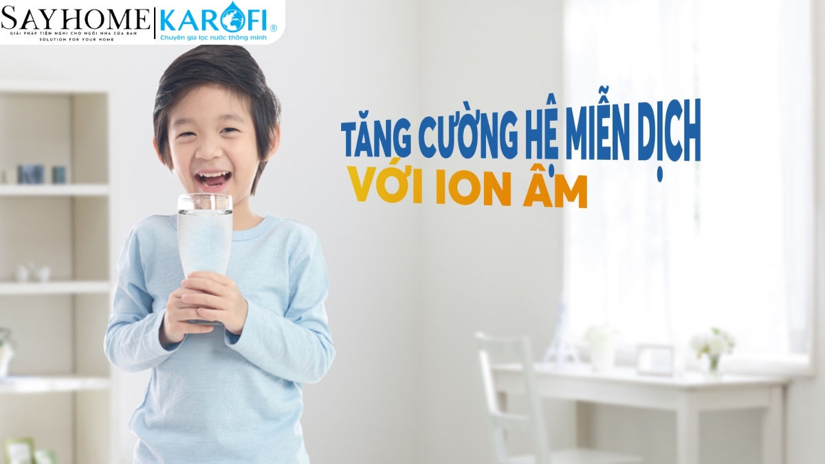 Bộ lõi Smax hiệu suất cao HP 6.1 Karofi tại thành phố Hồ Chí Minh