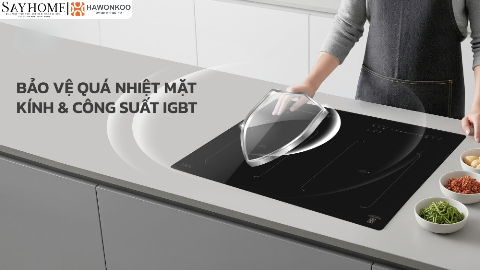 Bếp điện từ đôi HAWONKOO CEH-263-IF tại thành phố Hồ Chí Minh
