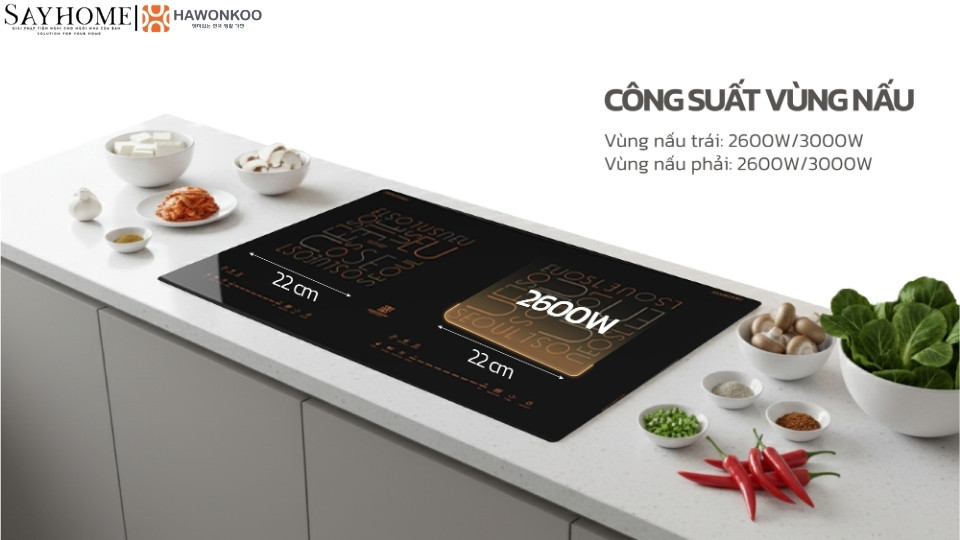 Bếp từ đôi HAWONKOO CEH-286-II tại thành phố Hồ Chí Minh