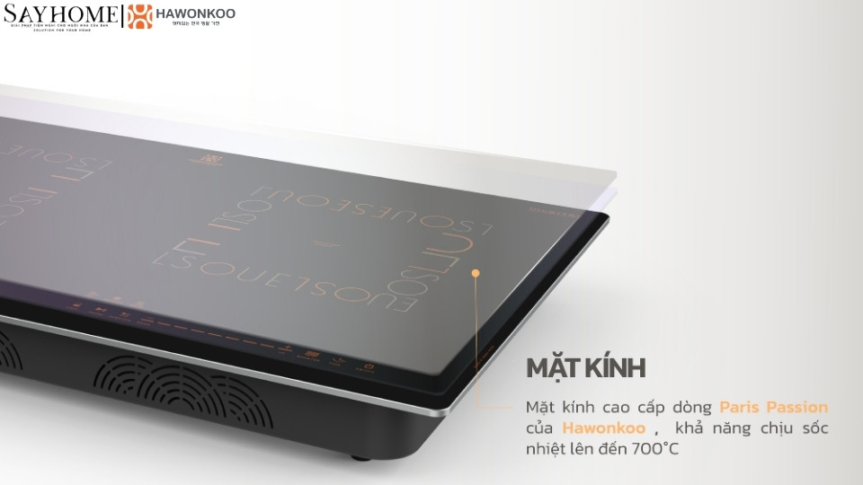 Bếp từ đôi HAWONKOO CEH-288-II tại thành phố Hồ Chí Minh